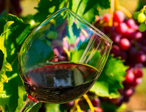 Chianti Classico: how the wine symbol of Tuscany was born